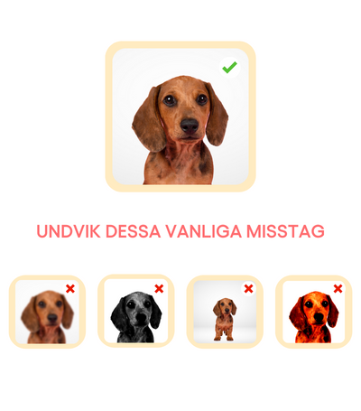 För ett tydligt och skarpt resultat